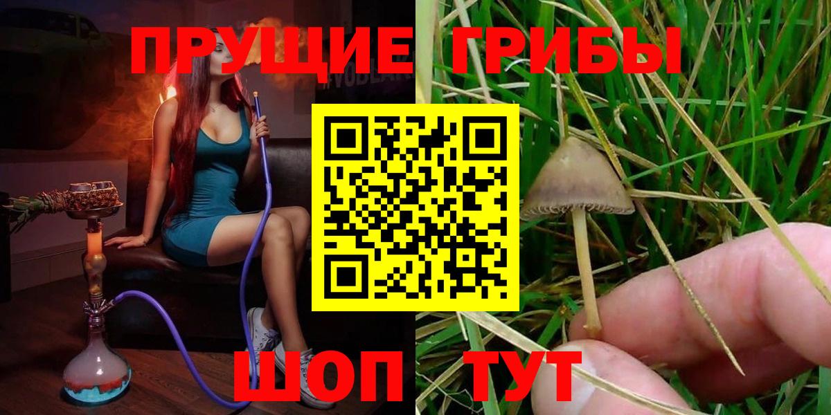 Псилоцибиновые грибы ЛСД  Галлюциногенные грибы прущие грибы  Майский  Вход с VPN 